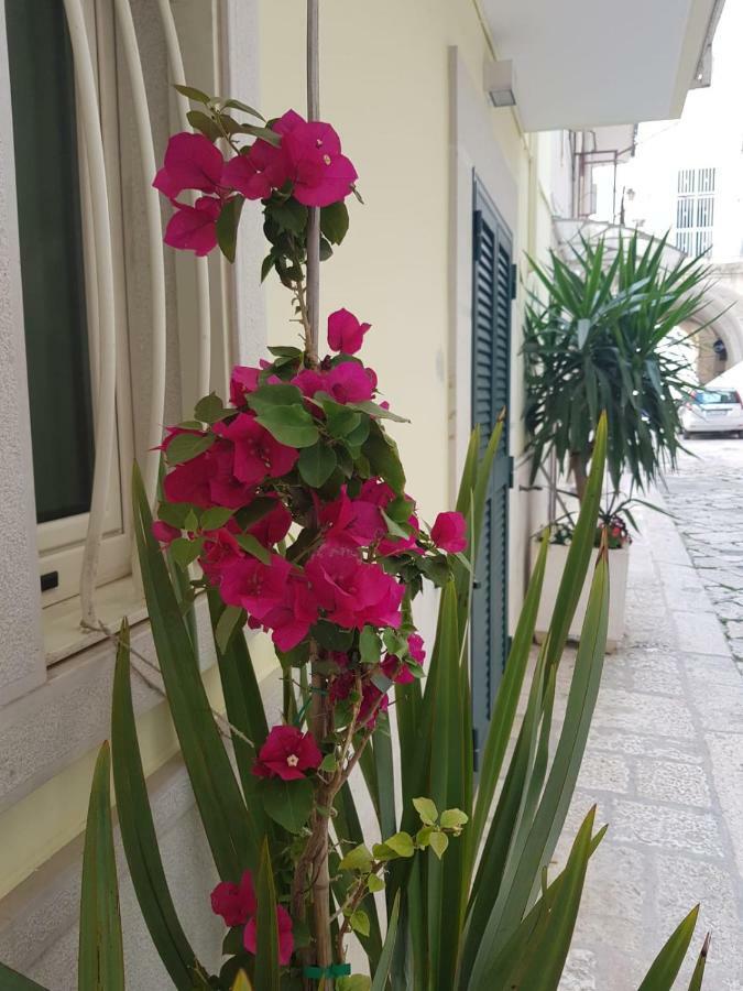 Bed and Breakfast Arco Gentile Битонто Экстерьер фото